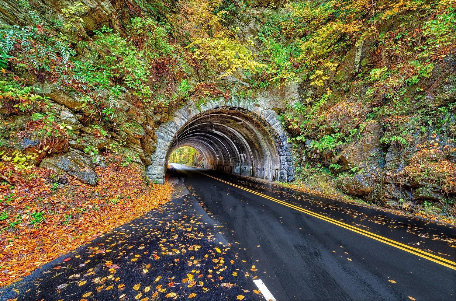 Time To Cuddle, Wifi, Near Pigeon Forge, 1089 Free Tickets Each Paid Day, Dollywood And More 外观 照片