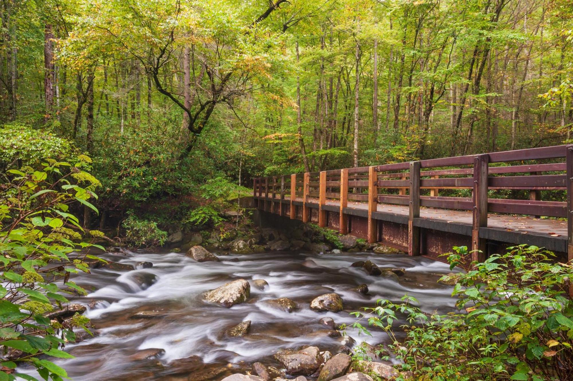 Time To Cuddle, Wifi, Near Pigeon Forge, 1089 Free Tickets Each Paid Day, Dollywood And More 外观 照片