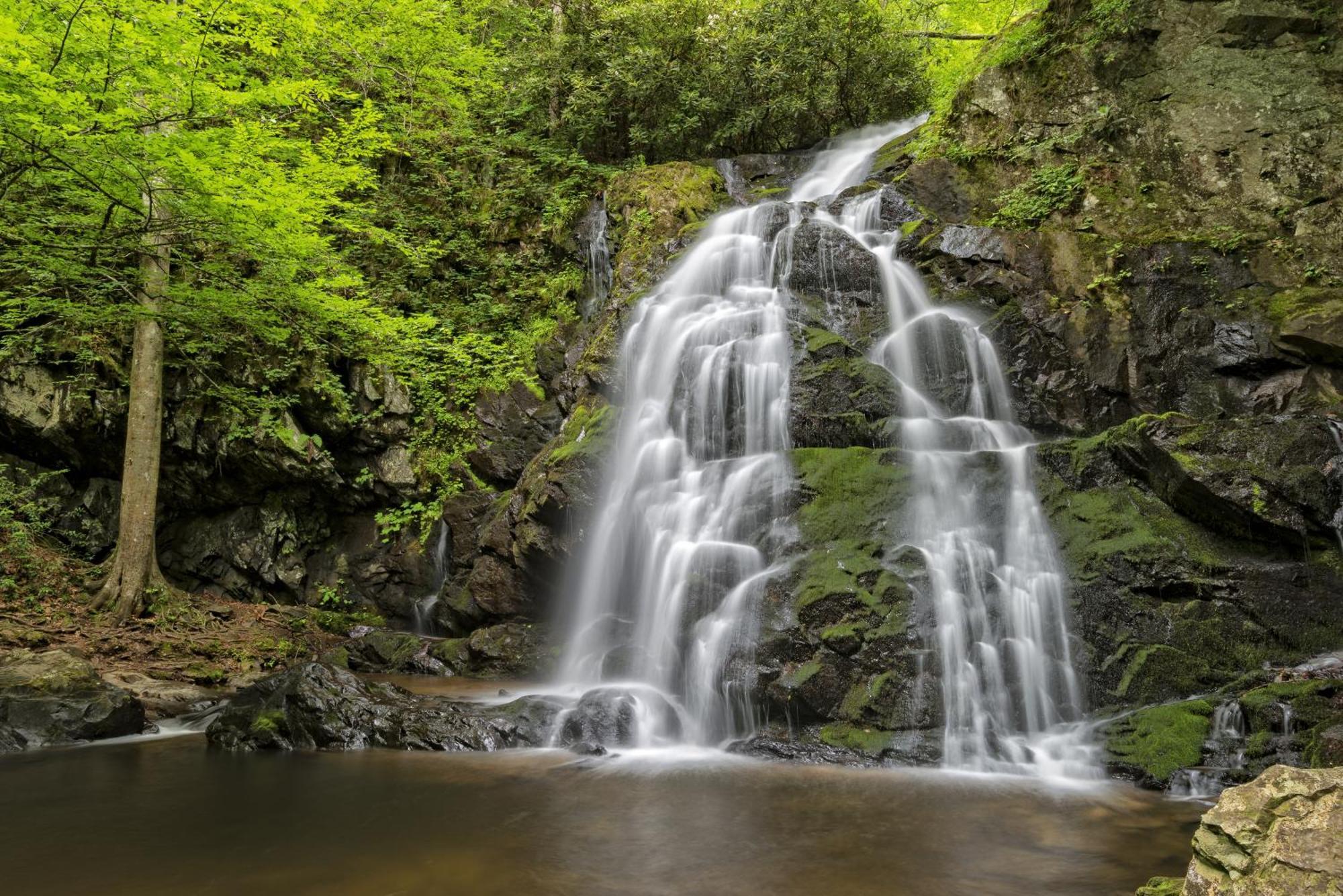 Time To Cuddle, Wifi, Near Pigeon Forge, 1089 Free Tickets Each Paid Day, Dollywood And More 外观 照片